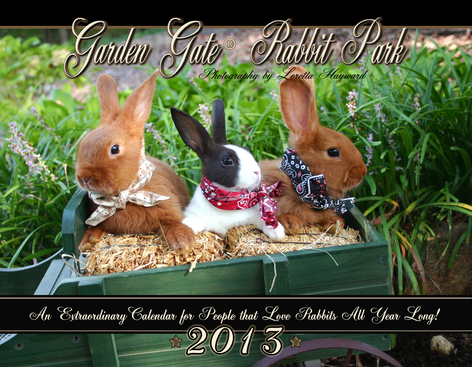 Extraordinary Rabbit Park Calendar for 2013